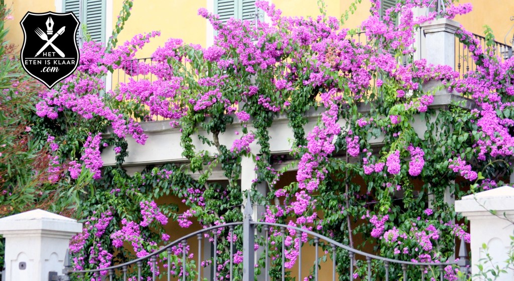 bougainville in mediterrane omgeving Cholesterol, lekker en belangrijk