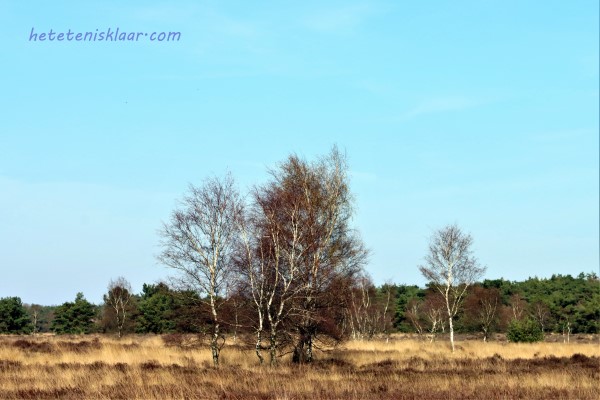 regte heide goirle